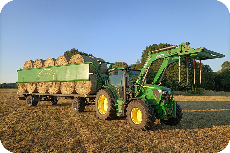 LANDWIRTSCHAFT