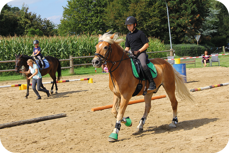 PFERD UND REITER